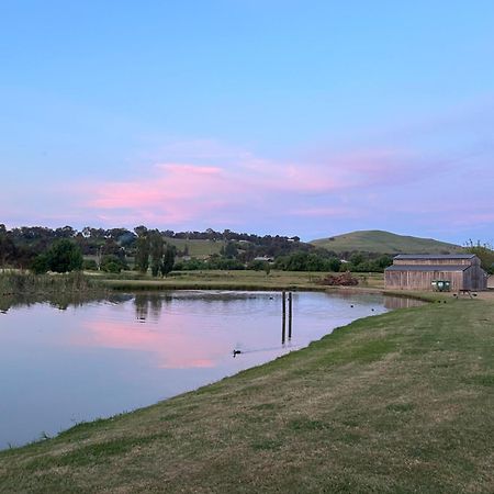 Mansfield Holiday Park Dış mekan fotoğraf