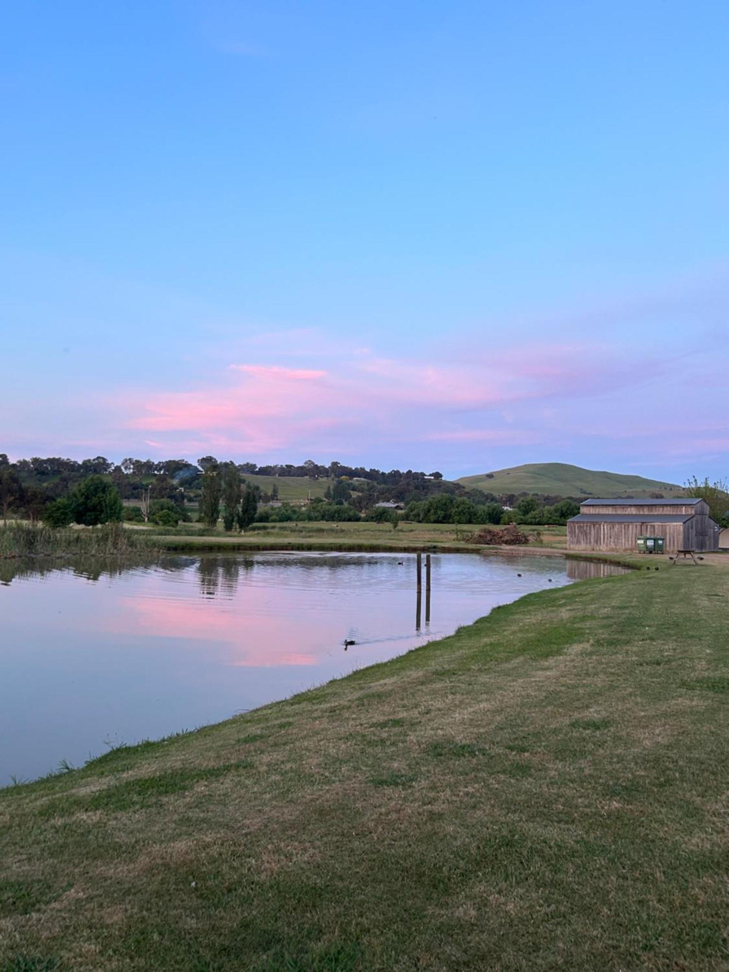 Mansfield Holiday Park Dış mekan fotoğraf
